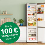 100 Euro Cashback-Fachhandelsaktion von Bosch