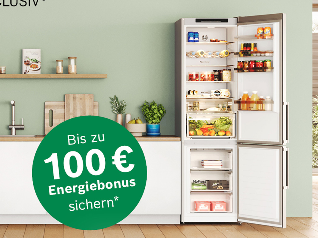 100 Euro Cashback-Fachhandelsaktion von Bosch