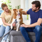 Thomas ist Spezialist wenn es um Tierhaare geht.