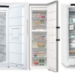 FAZ Gefrierschrank-Test