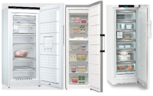 FAZ Gefrierschrank-Test