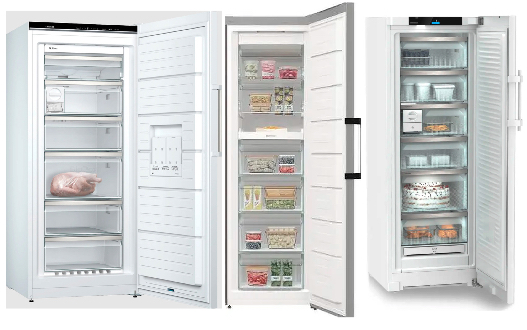 FAZ Gefrierschrank-Test